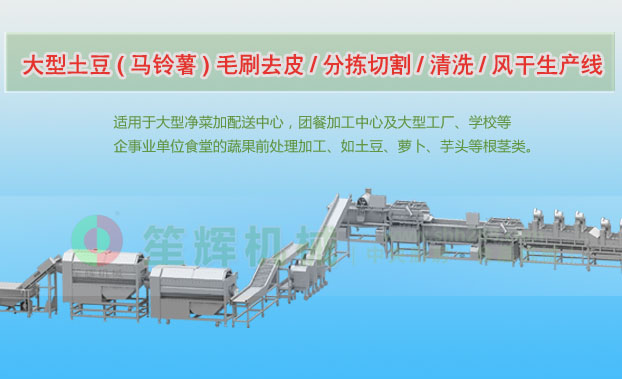 云浮连续式土豆去皮清洗切割风干生产线